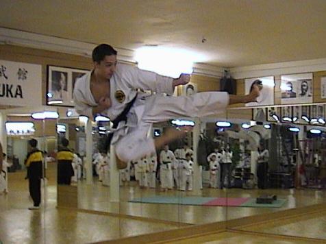 Seibukan Karate